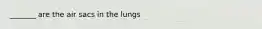 _______ are the air sacs in the lungs