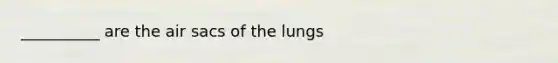 __________ are the air sacs of the lungs