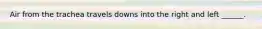 Air from the trachea travels downs into the right and left ______.