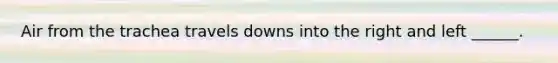 Air from the trachea travels downs into the right and left ______.