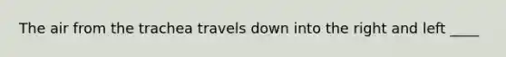 The air from the trachea travels down into the right and left ____