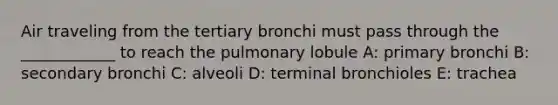 Air traveling from the tertiary bronchi must pass through the ____________ to reach the pulmonary lobule A: primary bronchi B: secondary bronchi C: alveoli D: terminal bronchioles E: trachea