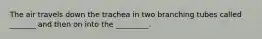 The air travels down the trachea in two branching tubes called _______ and then on into the _________.