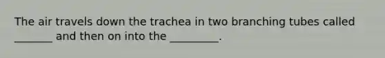 The air travels down the trachea in two branching tubes called _______ and then on into the _________.