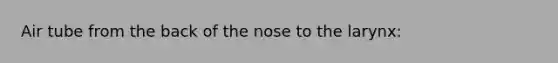 Air tube from the back of the nose to the larynx: