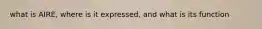 what is AIRE, where is it expressed, and what is its function