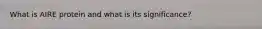 What is AIRE protein and what is its significance?