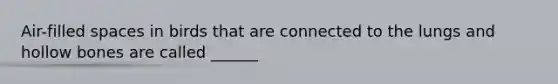 Air-filled spaces in birds that are connected to the lungs and hollow bones are called ______