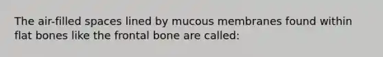 The air-filled spaces lined by mucous membranes found within flat bones like the frontal bone are called: