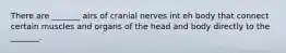 There are _______ airs of cranial nerves int eh body that connect certain muscles and organs of the head and body directly to the _______.