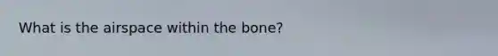 What is the airspace within the bone?