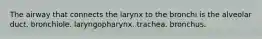 The airway that connects the larynx to the bronchi is the alveolar duct. bronchiole. laryngopharynx. trachea. bronchus.