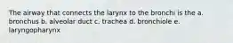 The airway that connects the larynx to the bronchi is the a. bronchus b. alveolar duct c. trachea d. bronchiole e. laryngopharynx