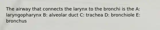 The airway that connects the larynx to the bronchi is the A: laryngopharynx B: alveolar duct C: trachea D: bronchiole E: bronchus