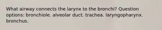 What airway connects the larynx to the bronchi? Question options: bronchiole. alveolar duct. trachea. laryngopharynx. bronchus.