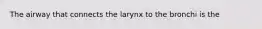 The airway that connects the larynx to the bronchi is the