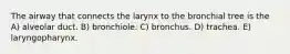 The airway that connects the larynx to the bronchial tree is the A) alveolar duct. B) bronchiole. C) bronchus. D) trachea. E) laryngopharynx.