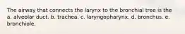 The airway that connects the larynx to the bronchial tree is the a. alveolar duct. b. trachea. c. laryngopharynx. d. bronchus. e. bronchiole.