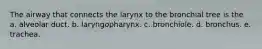 The airway that connects the larynx to the bronchial tree is the a. alveolar duct. b. laryngopharynx. c. bronchiole. d. bronchus. e. trachea.