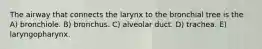 The airway that connects the larynx to the bronchial tree is the A) bronchiole. B) bronchus. C) alveolar duct. D) trachea. E) laryngopharynx.