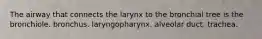The airway that connects the larynx to the bronchial tree is the bronchiole. bronchus. laryngopharynx. alveolar duct. trachea.