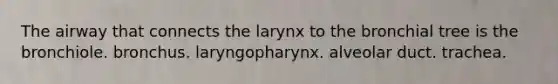 The airway that connects the larynx to the bronchial tree is the bronchiole. bronchus. laryngopharynx. alveolar duct. trachea.