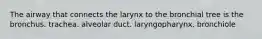 The airway that connects the larynx to the bronchial tree is the bronchus. trachea. alveolar duct. laryngopharynx. bronchiole