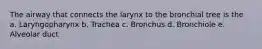 The airway that connects the larynx to the bronchial tree is the a. Laryngopharynx b. Trachea c. Bronchus d. Bronchiole e. Alveolar duct