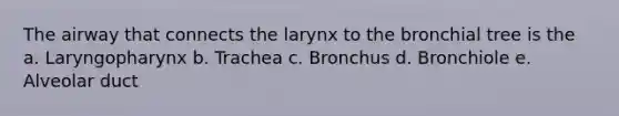 The airway that connects the larynx to the bronchial tree is the a. Laryngopharynx b. Trachea c. Bronchus d. Bronchiole e. Alveolar duct