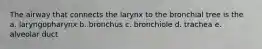 The airway that connects the larynx to the bronchial tree is the a. laryngopharynx b. bronchus c. bronchiole d. trachea e. alveolar duct