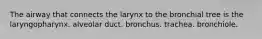 The airway that connects the larynx to the bronchial tree is the laryngopharynx. alveolar duct. bronchus. trachea. bronchiole.