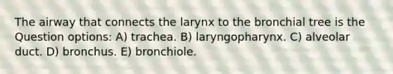 The airway that connects the larynx to the bronchial tree is the Question options: A) trachea. B) laryngopharynx. C) alveolar duct. D) bronchus. E) bronchiole.