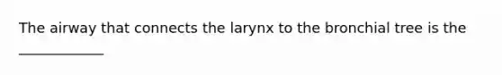 The airway that connects the larynx to the bronchial tree is the ____________