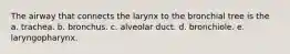 The airway that connects the larynx to the bronchial tree is the a. trachea. b. bronchus. c. alveolar duct. d. bronchiole. e. laryngopharynx.