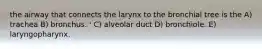 the airway that connects the larynx to the bronchial tree is the A) trachea B) bronchus. ' C) alveolar duct D) bronchiole. E) laryngopharynx.