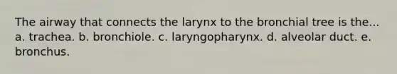 The airway that connects the larynx to the bronchial tree is the... a. trachea. b. bronchiole. c. laryngopharynx. d. alveolar duct. e. bronchus.