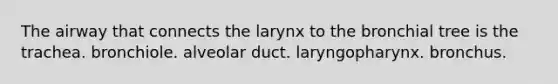 The airway that connects the larynx to the bronchial tree is the trachea. bronchiole. alveolar duct. laryngopharynx. bronchus.