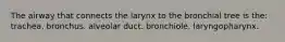 The airway that connects the larynx to the bronchial tree is the: trachea. bronchus. alveolar duct. bronchiole. laryngopharynx.