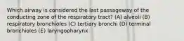 Which airway is considered the last passageway of the conducting zone of the respiratory tract? (A) alveoli (B) respiratory bronchioles (C) tertiary bronchi (D) terminal bronchioles (E) laryngopharynx