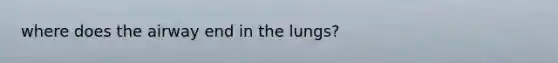 where does the airway end in the lungs?