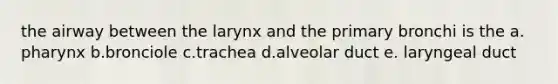 the airway between the larynx and the primary bronchi is the a. pharynx b.bronciole c.trachea d.alveolar duct e. laryngeal duct