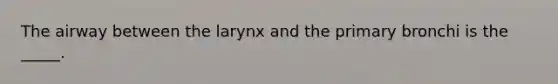 The airway between the larynx and the primary bronchi is the _____.