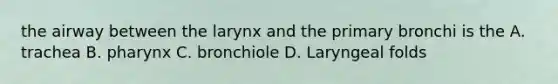 the airway between the larynx and the primary bronchi is the A. trachea B. pharynx C. bronchiole D. Laryngeal folds