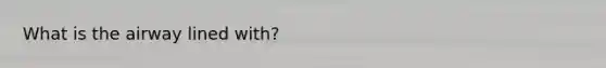 What is the airway lined with?