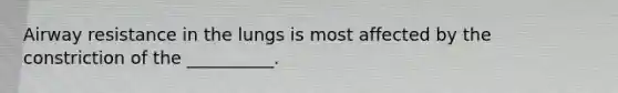 Airway resistance in the lungs is most affected by the constriction of the __________.