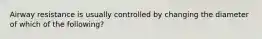 Airway resistance is usually controlled by changing the diameter of which of the following?