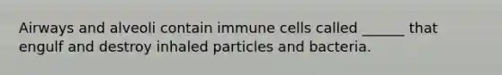 Airways and alveoli contain immune cells called ______ that engulf and destroy inhaled particles and bacteria.