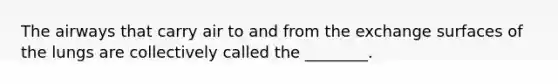 The airways that carry air to and from the exchange surfaces of the lungs are collectively called the ________.