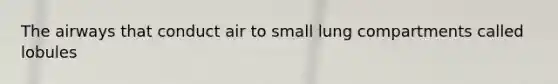 The airways that conduct air to small lung compartments called lobules