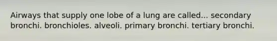 Airways that supply one lobe of a lung are called... secondary bronchi. bronchioles. alveoli. primary bronchi. tertiary bronchi.